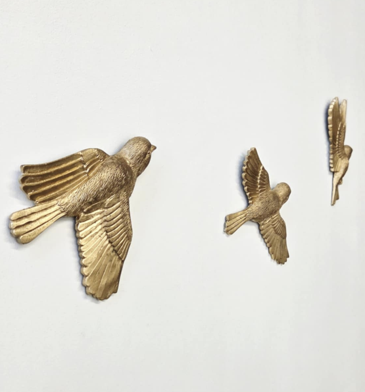 Set of 5 Birds in Flight
