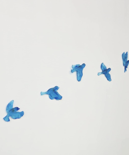 Alternative view of Set of 5 Birds in Flight