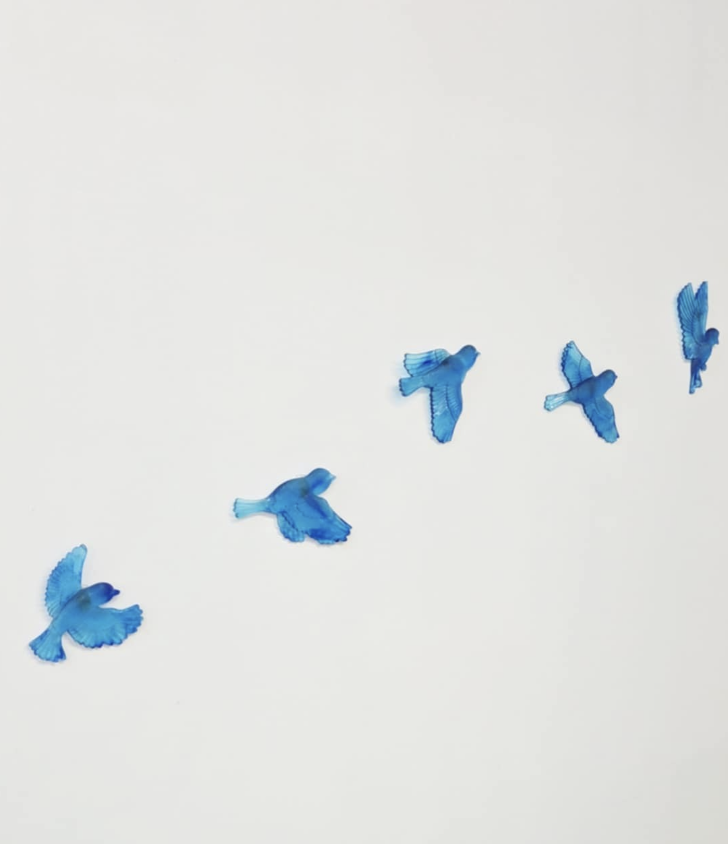 Set of 5 Birds in Flight - Image 2